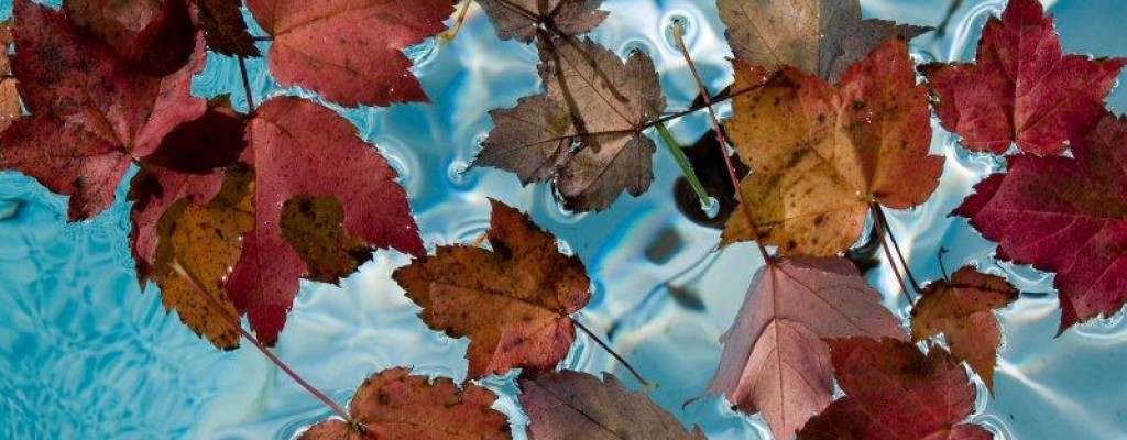 fall pool maintenance tips