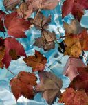 fall pool maintenance tips